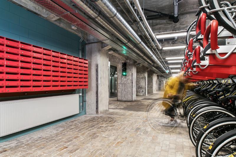 The Social Hub
